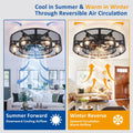 26 Inch Farmhouse Caged Ceiling Fan with Light, Remote & APP Control Quiet DC Motor E26 Bulbs Included Black